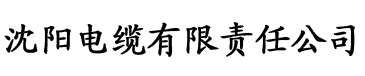 91香蕉视频网站入口电缆厂logo